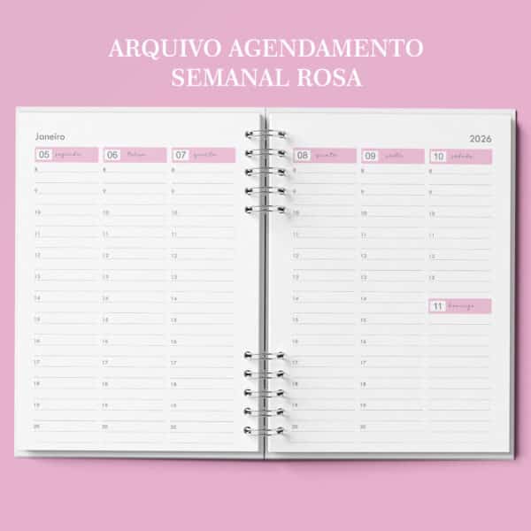 arquivo_agenda_agendamento_semanal_neutra_30_minutos_rosa