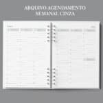 arquivo_agenda_agendamento_semanal_neutra_30_minutos_cinza