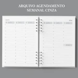arquivo_agenda_agendamento_semanal_neutra_30_minutos_cinza