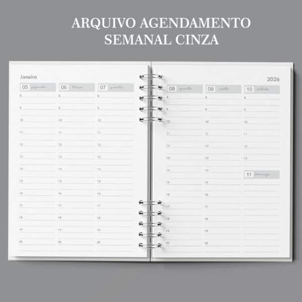 arquivo_agenda_agendamento_semanal_neutra_30_minutos_cinza