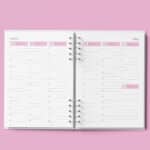 arquivo_agenda_agendamento_semanal_neutra_30_minutos_rosa