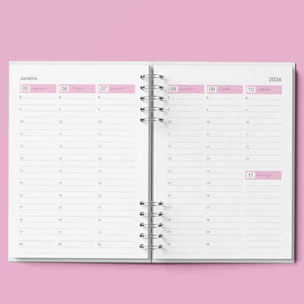 arquivo_agenda_agendamento_semanal_neutra_30_minutos_rosa
