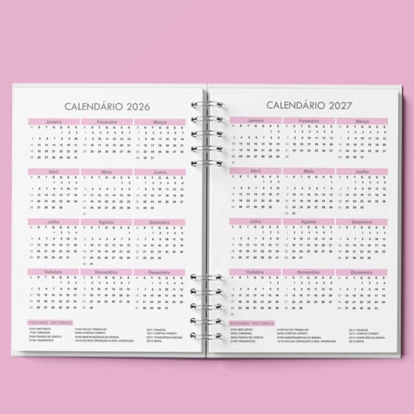 arquivo_agenda_agendamento_semanal_neutra_30_minutos_rosa