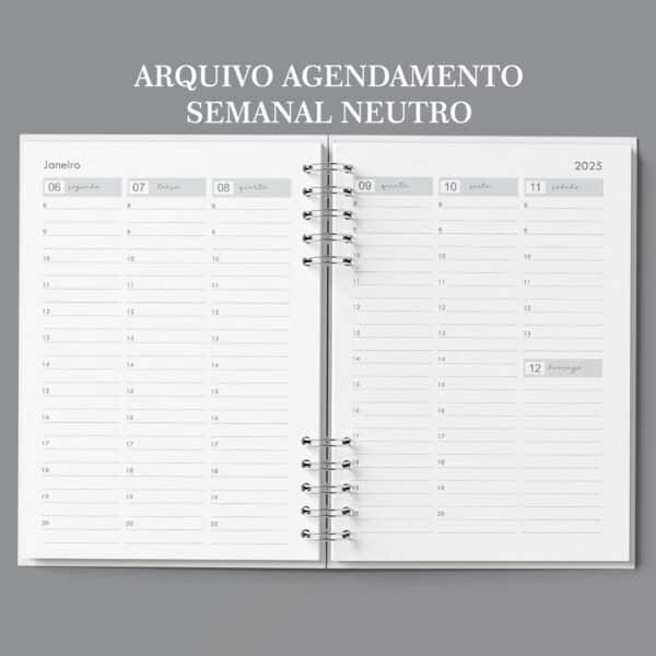 arquivo_digital_agenda_agendamento_semanal_30_em_30_Minutos_neutra