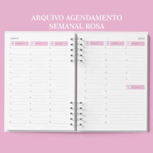 arquivo_digital_agenda_agendamento_semanal_30_em_30_Minutos_rosa