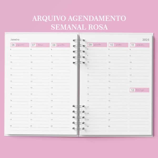 arquivo_digital_agenda_agendamento_semanal_30_em_30_Minutos_rosa