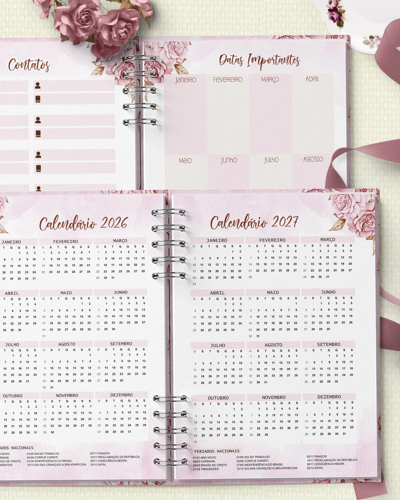 arquivo_digital_agenda_2026_mulher_virtuosa_1_dia_pagina_2_dpp_8