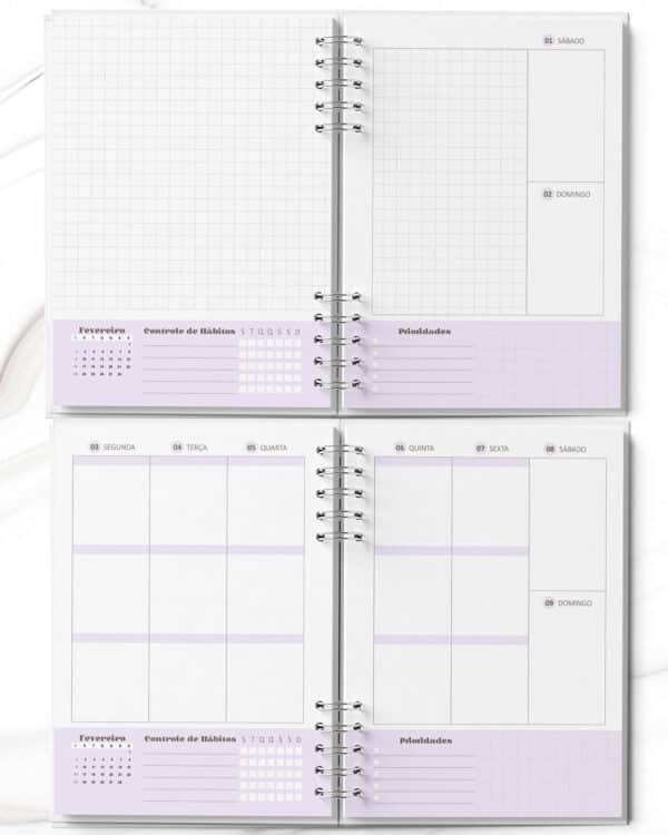 arquivo_digital_miolo_planner_2025_feminino