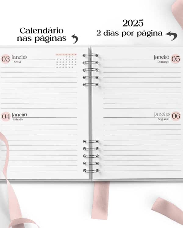 Arquivo_agenda_feminina_neutra_2DPP_2025_executiva_profissional