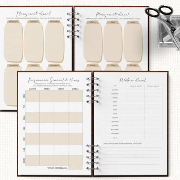 arquivo_digital_planner_pioneira_2025_2026_ano_de_serviço_MASCULINO